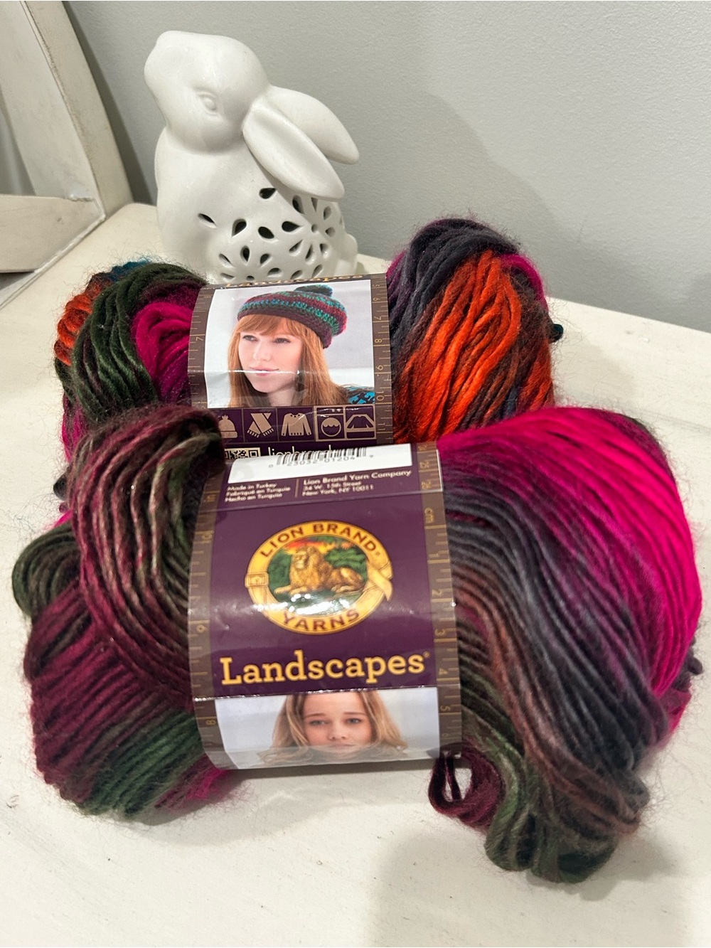Lion Brand Landscapes Tropics Multicolor Yarn 2 Skeins sold together BRAND NEW
